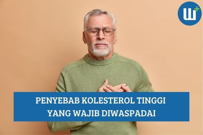 Beberapa Penyebab Kolesterol Tinggi yang Wajib Diwaspadai